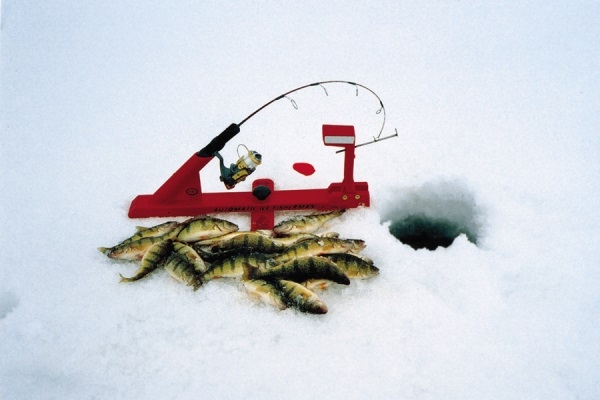home made automatic fisherman home made automatic fisherman