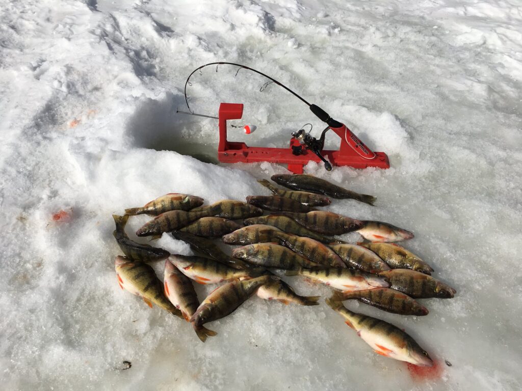 Automatic Fisherman - The crew over at Hardwater Freaks are locked and  loaded! Who else is on that Hardwater grind? Post your pics in the  comments!!!! #icefish #icefishing #auto #automatic #automaticfisherman  #fisher #