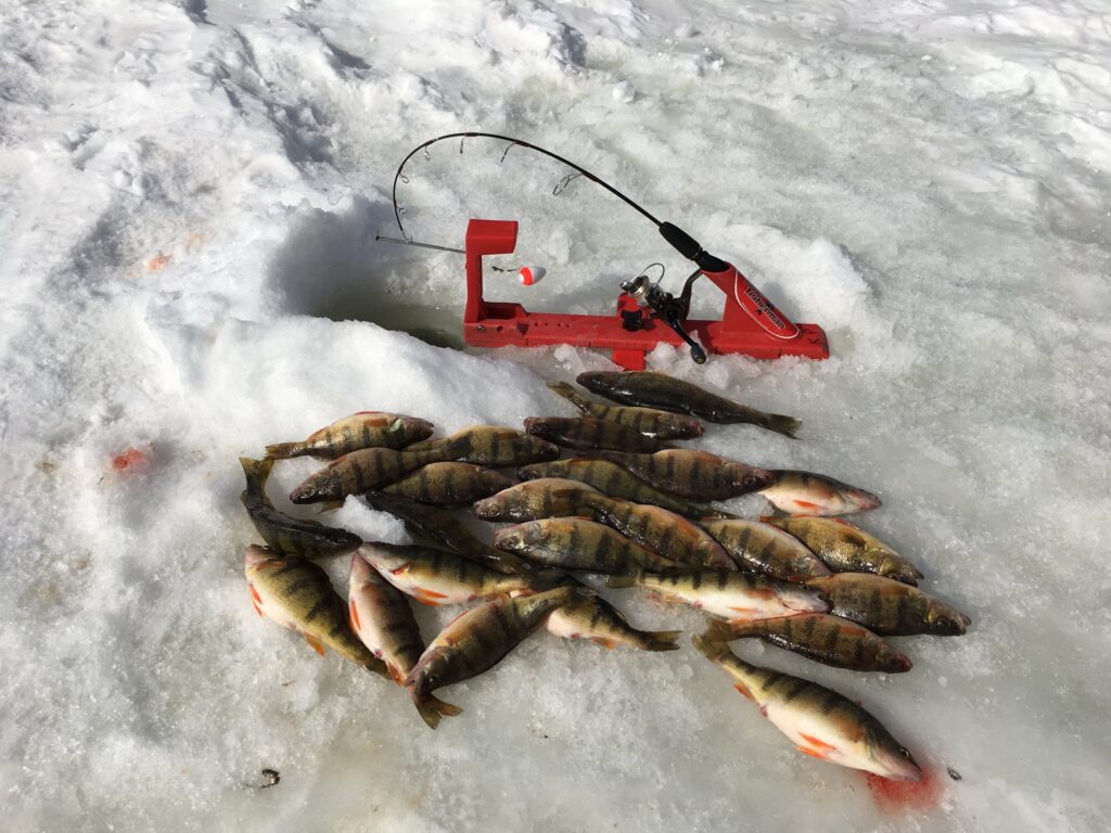 Ice Fishing Auto